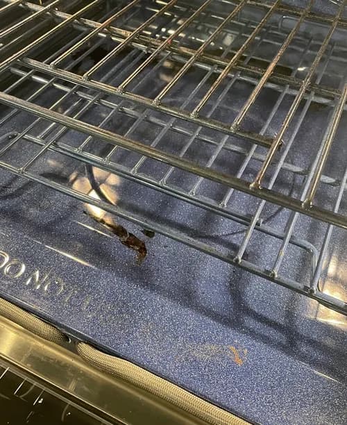 Alpha Cleaning Services - Photo 2