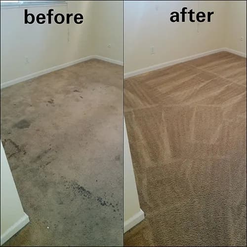 Alpha & Omega Carpet Care - Photo 3