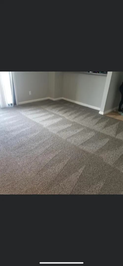 Alpha & Omega Carpet Care - Photo 2