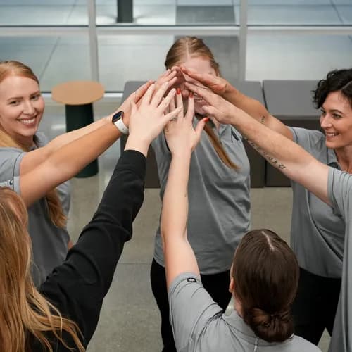 Alpine Cleaning Company