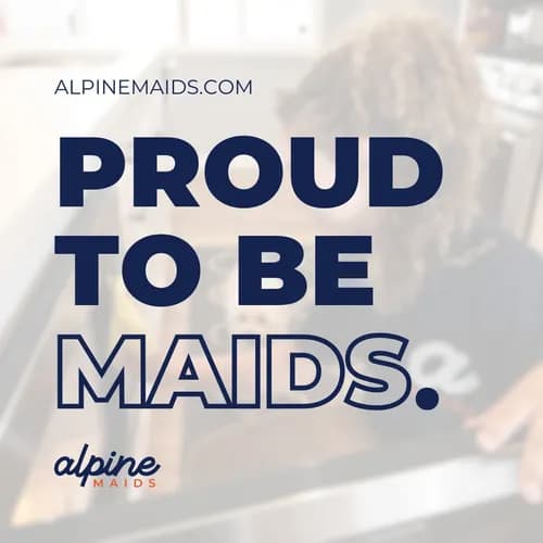Alpine Maids - Highlands Ranch - Photo 1
