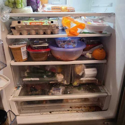 Alpine Maids - Highlands Ranch - Photo 2