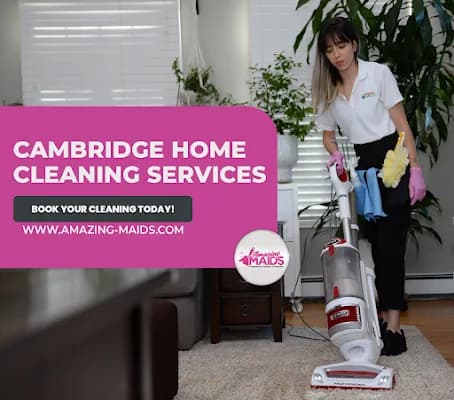 Amazing Maids Boston