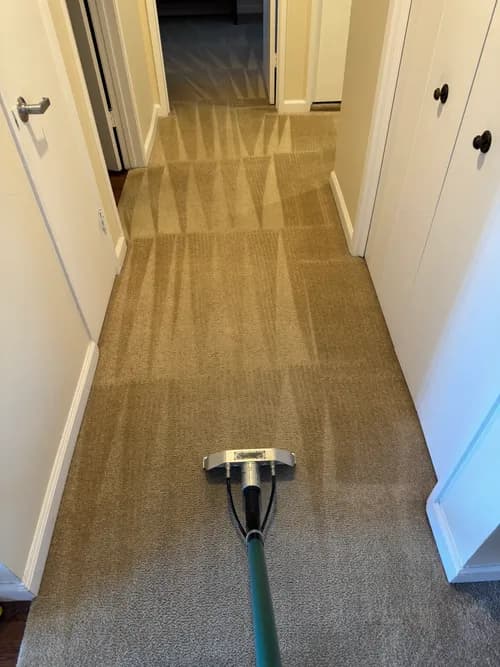 Andrade's Carpet Cleaning - Photo 4