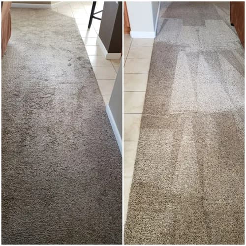 Apex Pro Cleaning Services