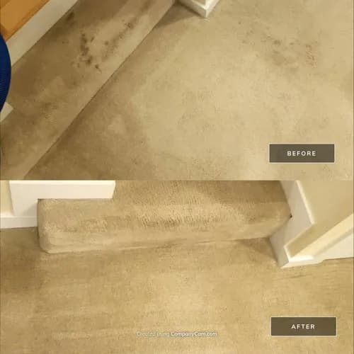 ASAP Carpet Cleaners