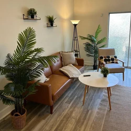 Atlanta Cleaning Geeks