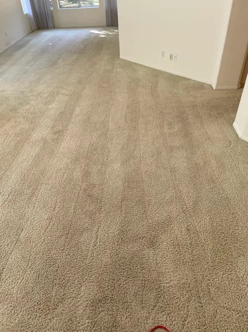 Ave 63 Cleaning - Photo 1