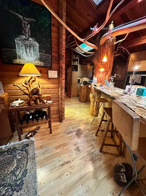 B&F - Cleaning Service