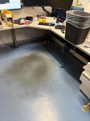 B&S Best Commercial Cleaning Services - Photo 2