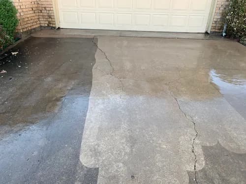 Backyard Butler - Photo 3