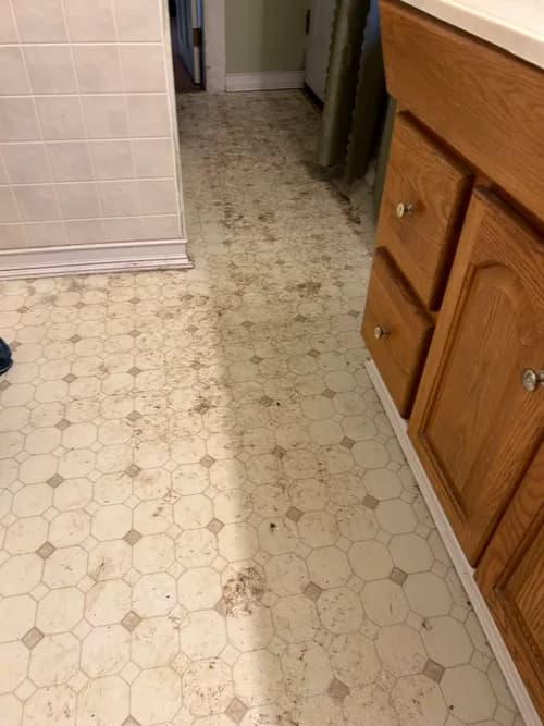 Badger Cleaners Madison WI - Photo 3