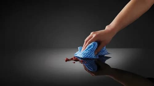 Badger Cleaners Madison WI