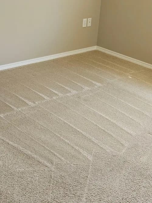 Bannister Quality Cleaning & Restoration llc.