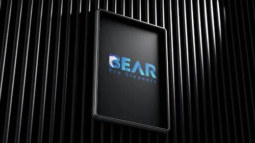 Bear Pro Cleaners - Photo 1