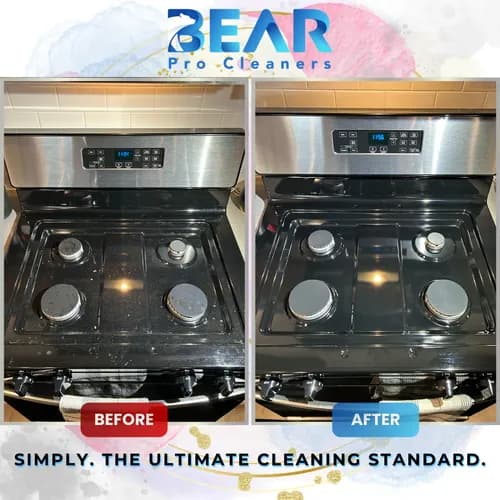 Bear Pro Cleaners - Photo 3