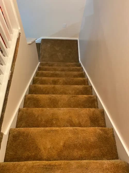 Bellissimo Cleaning Services - Photo 4