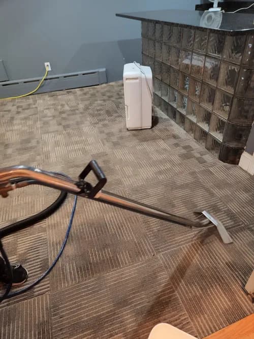 Bellissimo Cleaning Services - Photo 1