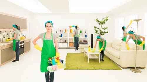 Benita's House Cleaning