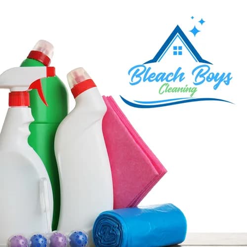 Bleach Boys Cleaning