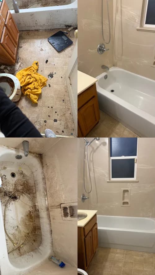 Blooming Cleaning Solutions | Cleaning Services Richmond - Photo 2