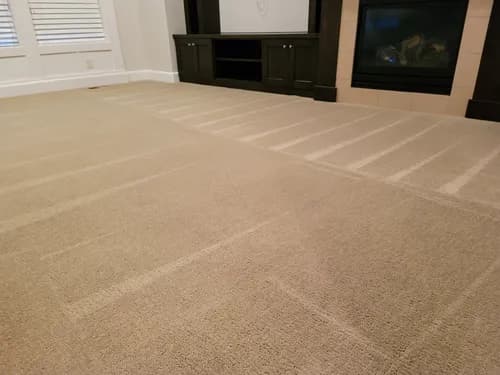 Blue Bird Home Services LLC - Photo 4