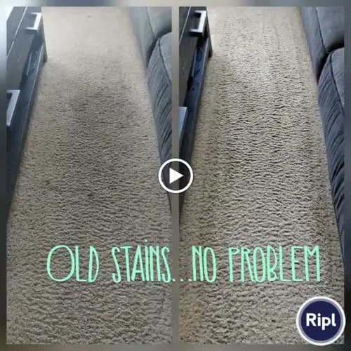 Blue Coast Cleaning Service - Photo 3