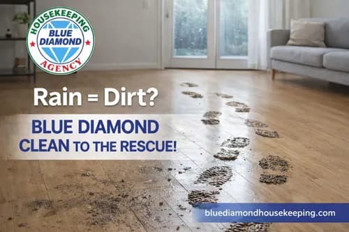 Blue Diamond Housekeeping Agency