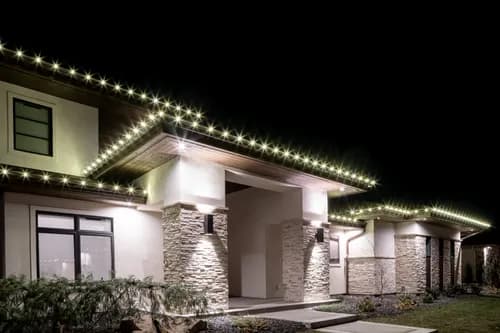 Blue Gander - Photo 3