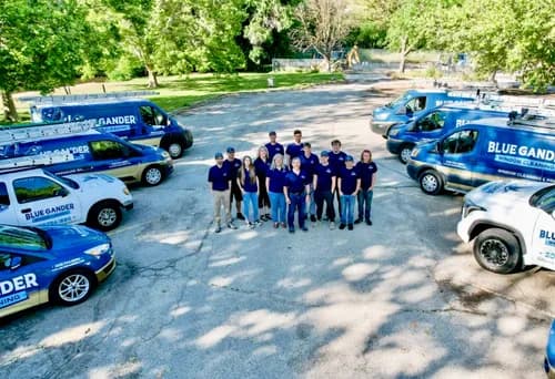 Blue Gander - Photo 2