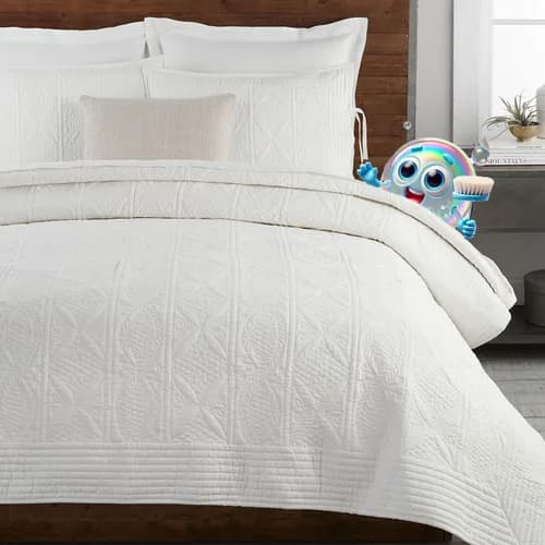 Blue Skies Cleaning LLC