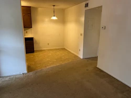 Blue Titan Concierge | Junk Removal & Multifamily Services - Photo 3