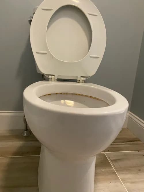 Boston Pro Cleaners - Photo 2