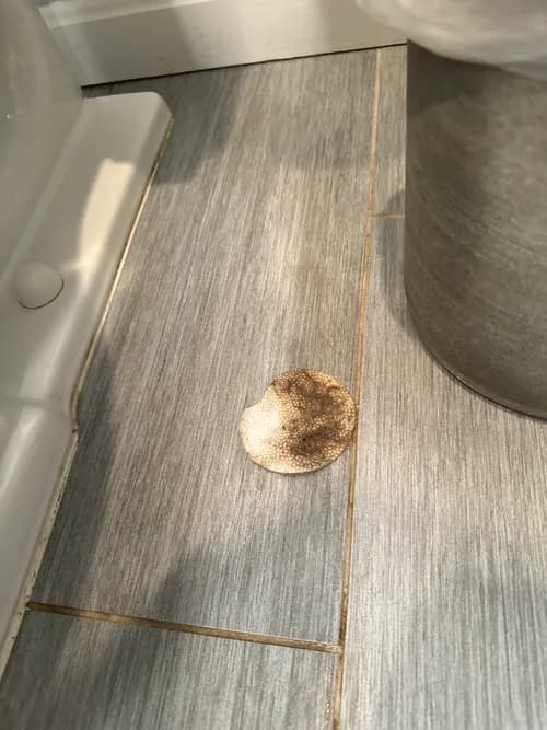 Bride & Broom Cleaning Services LLC - Photo 5