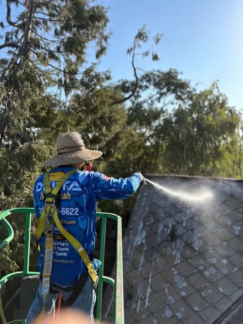 Bright Spot Cleaning - Photo 4