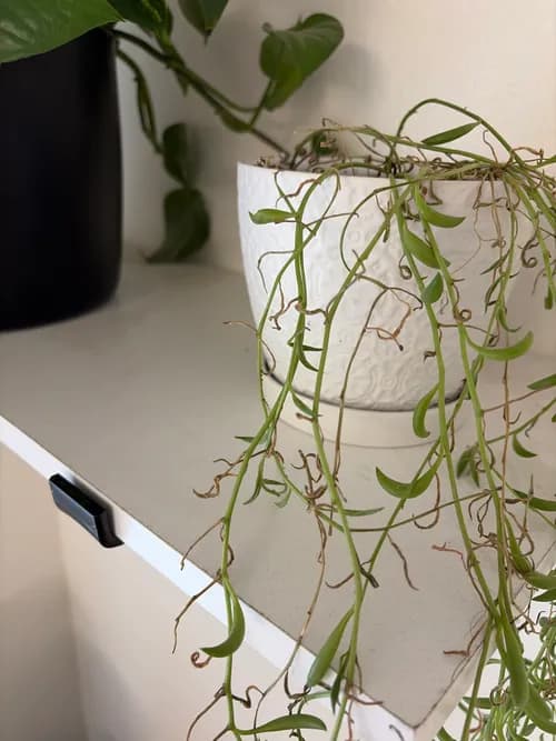 Brightview Cleaning Services - Photo 4