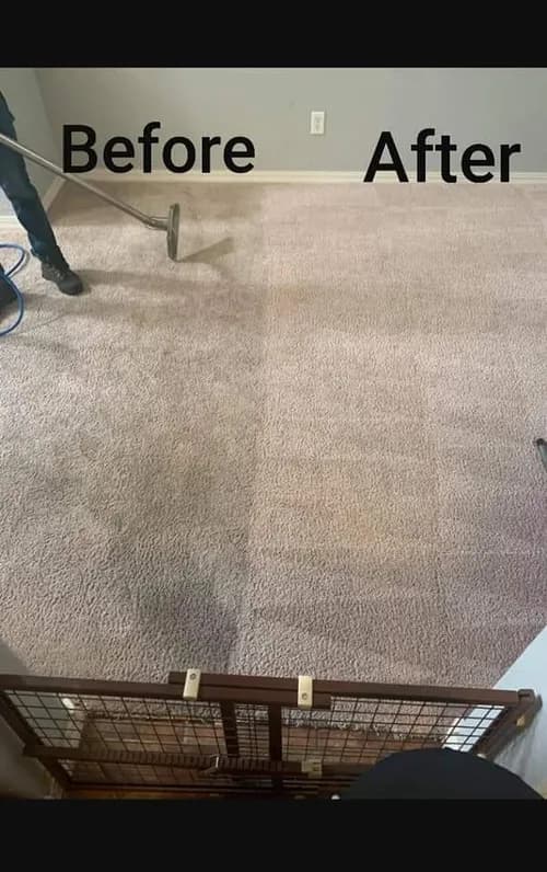 Brothers Carpet Cleaning International🇺🇸 Veteran Owned Business