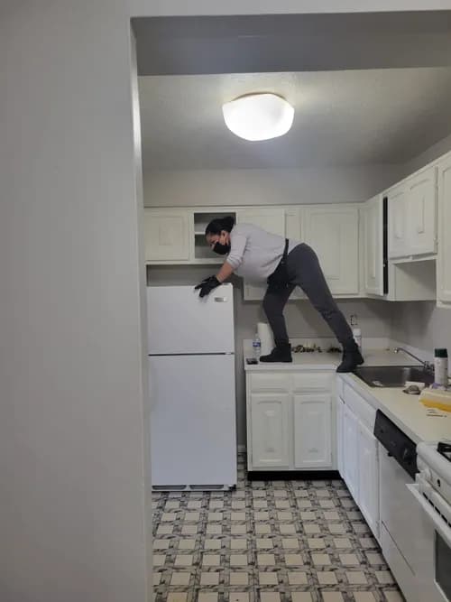 BSD Cleaning Services, LLC