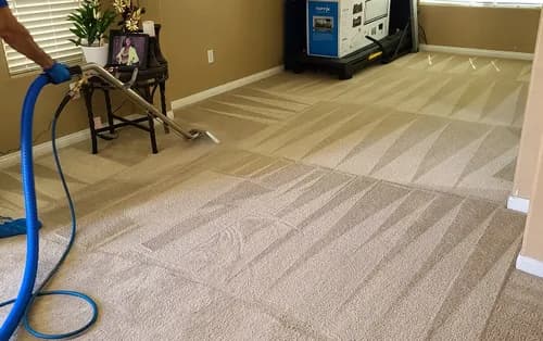 Bulldog Carpet Cleaning - Photo 3