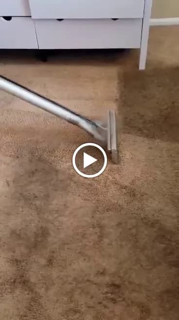 Bulldog Carpet Cleaning - Photo 2