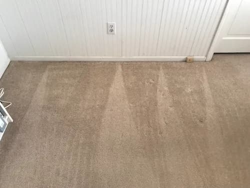 Bullseye Carpet Cleaning - Photo 3