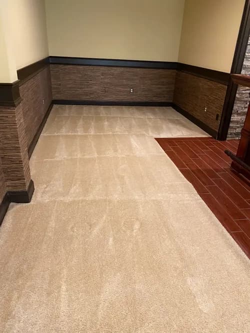 C.I.A. Cleaning Services LLC - Photo 2