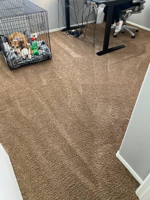 C&J Professional Cleaning Services, Inc - Photo 1