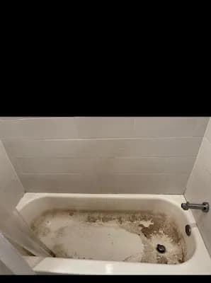 Camilas Maid Service - Photo 2