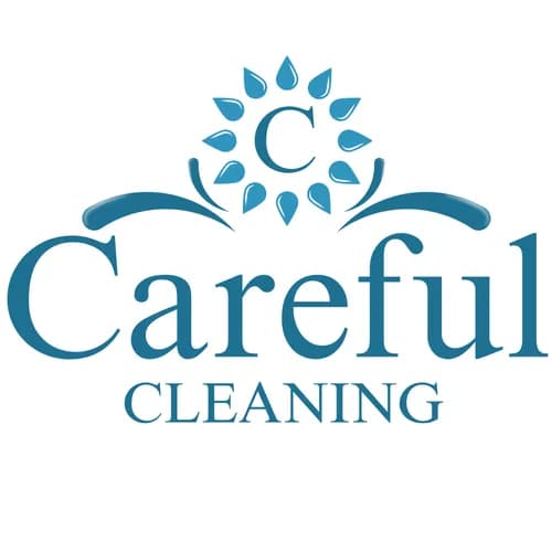 Careful Cleaning - Photo 1