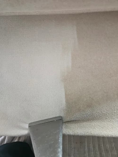 Carolina Steam - Photo 2