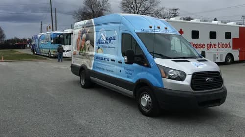 Carolina Steam - Photo 3