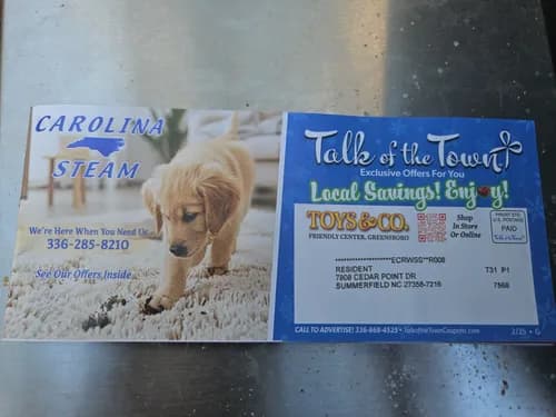 Carolina Steam - Photo 1