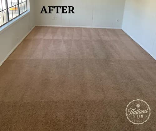 Carpet Tech of Lubbock, TX - Photo 4
