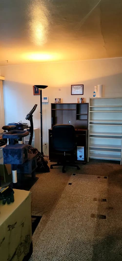 Casa Azul Janitorial & Hoarding Services. - Photo 4